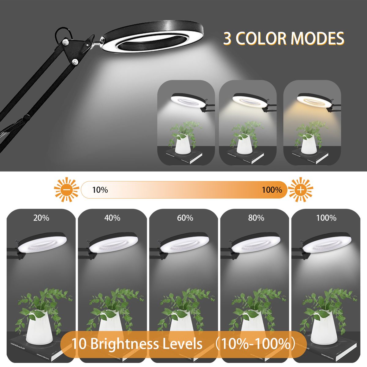 LED Adjustable Magnifier Desk Light With Clamp-8X