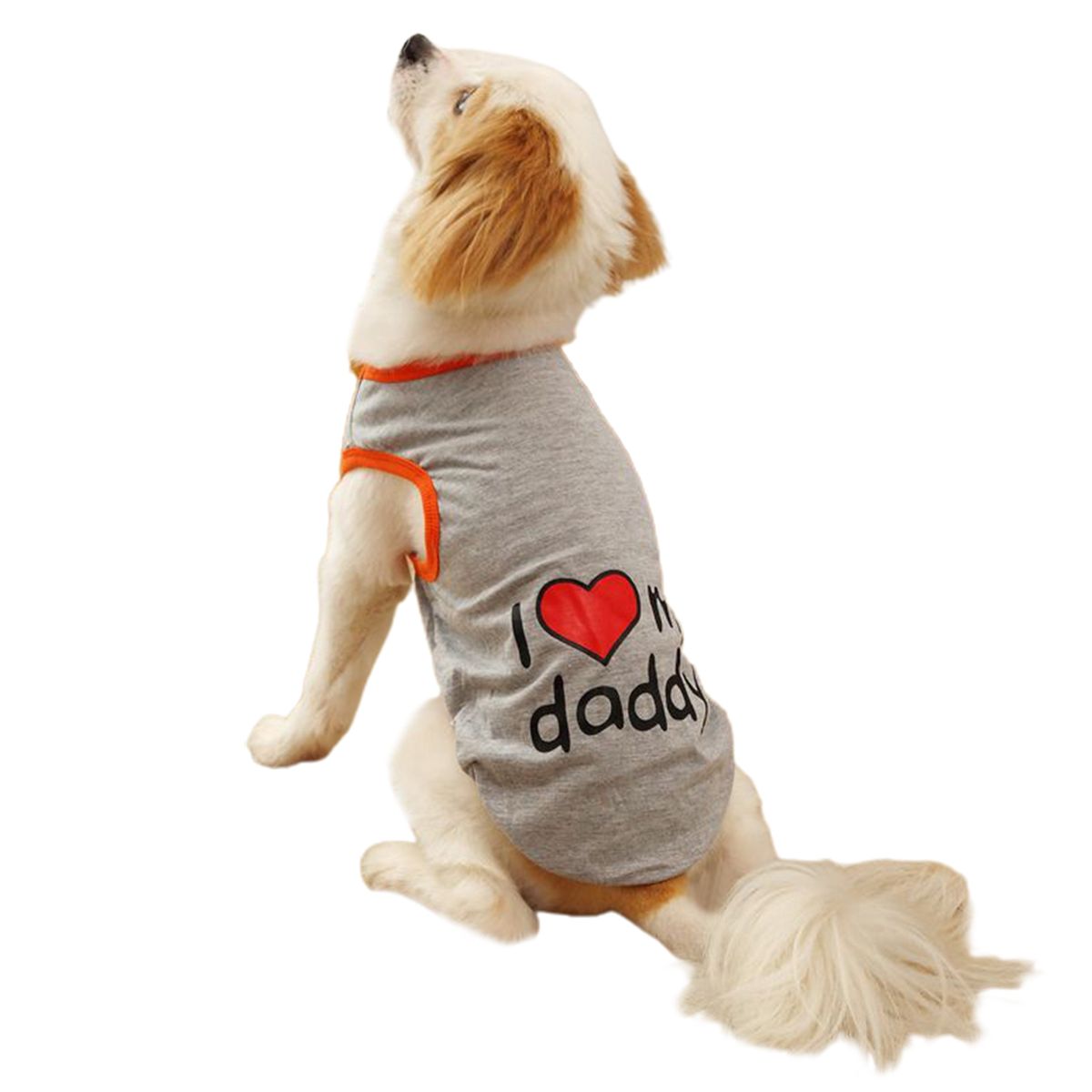 Pet Shirt Lovely Pet Sweatshirt Costume Grey