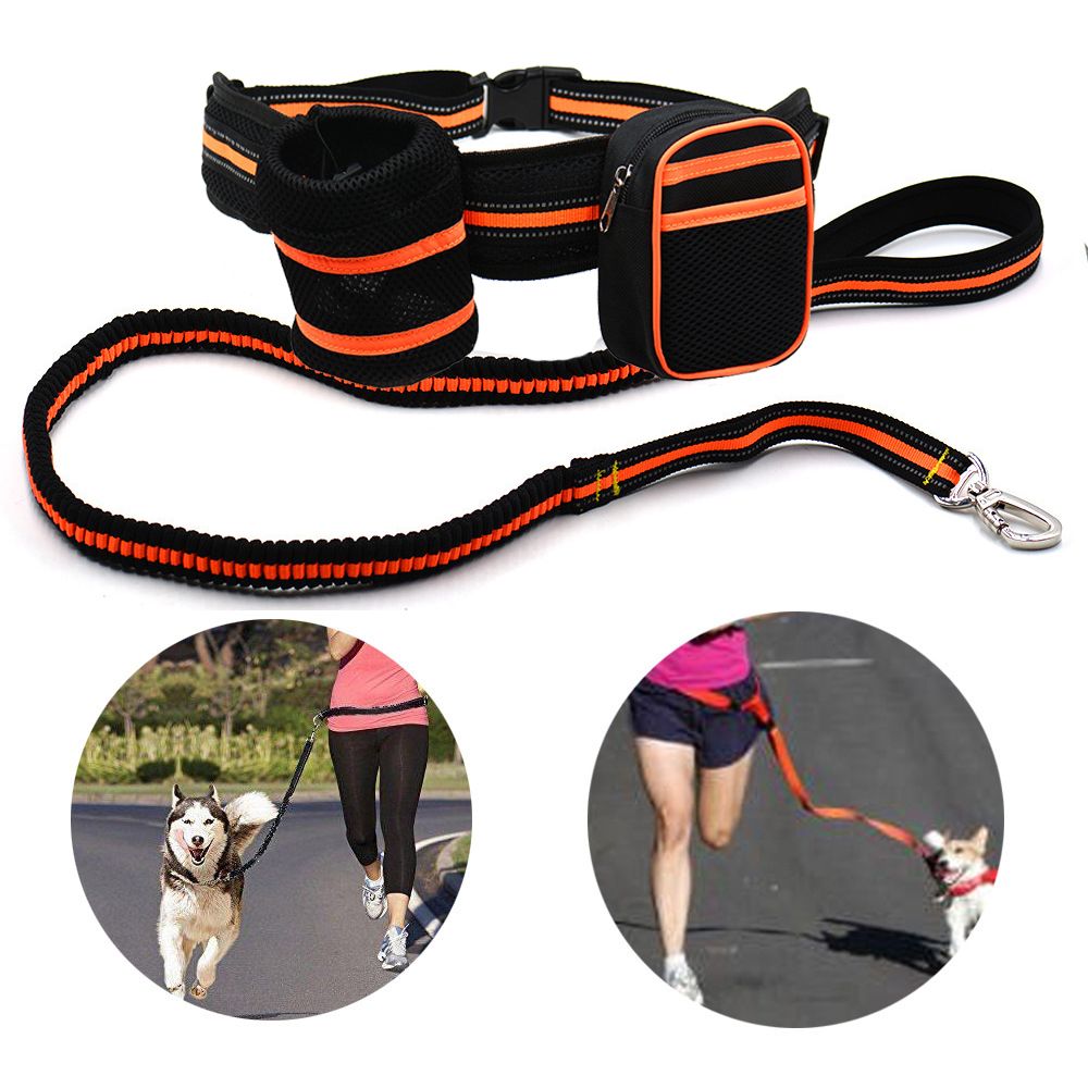 Hands Free Running Retractable Dog Leash Waist Belt With Sundries Pocket