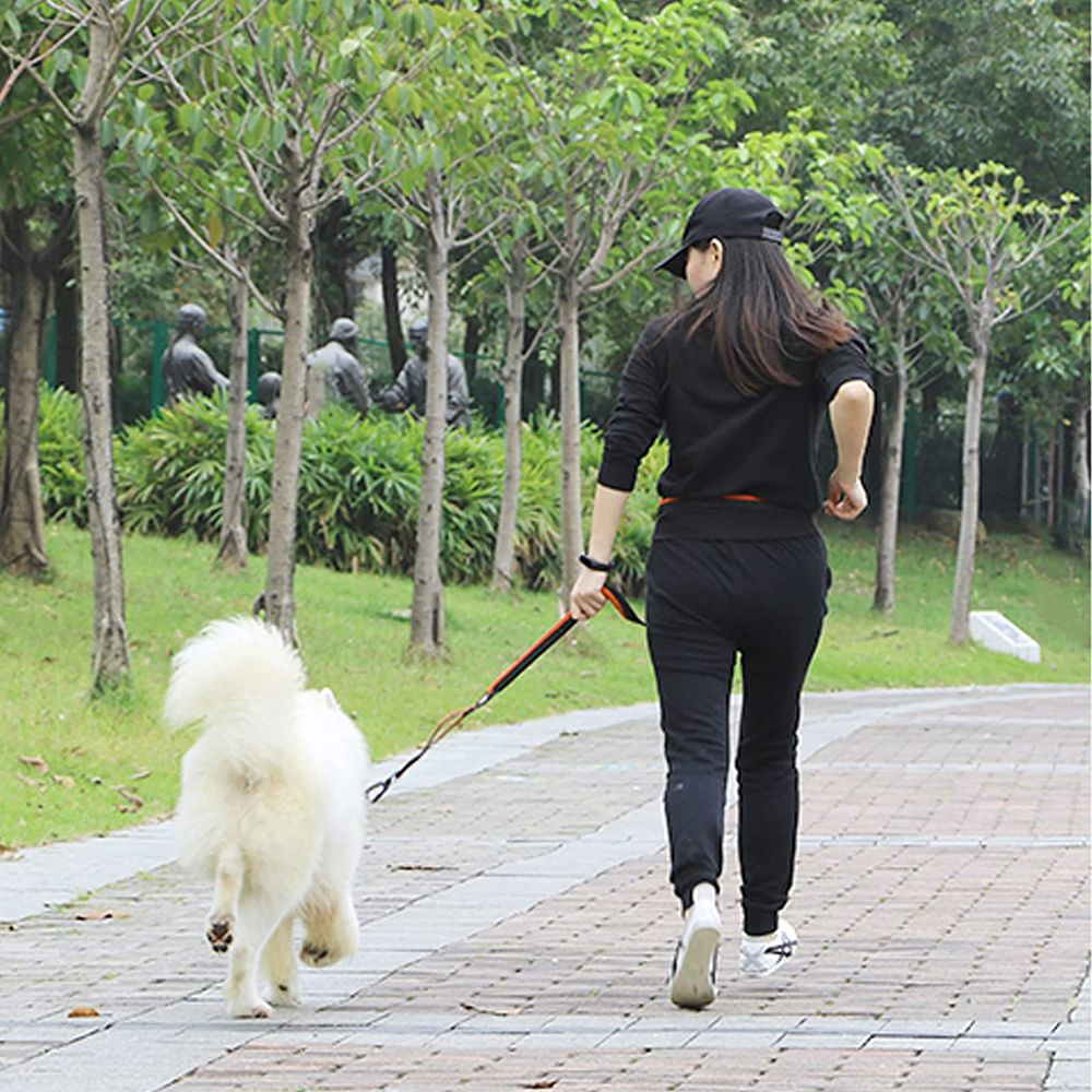 Hands Free Running Retractable Dog Leash Waist Belt With Sundries Pocket