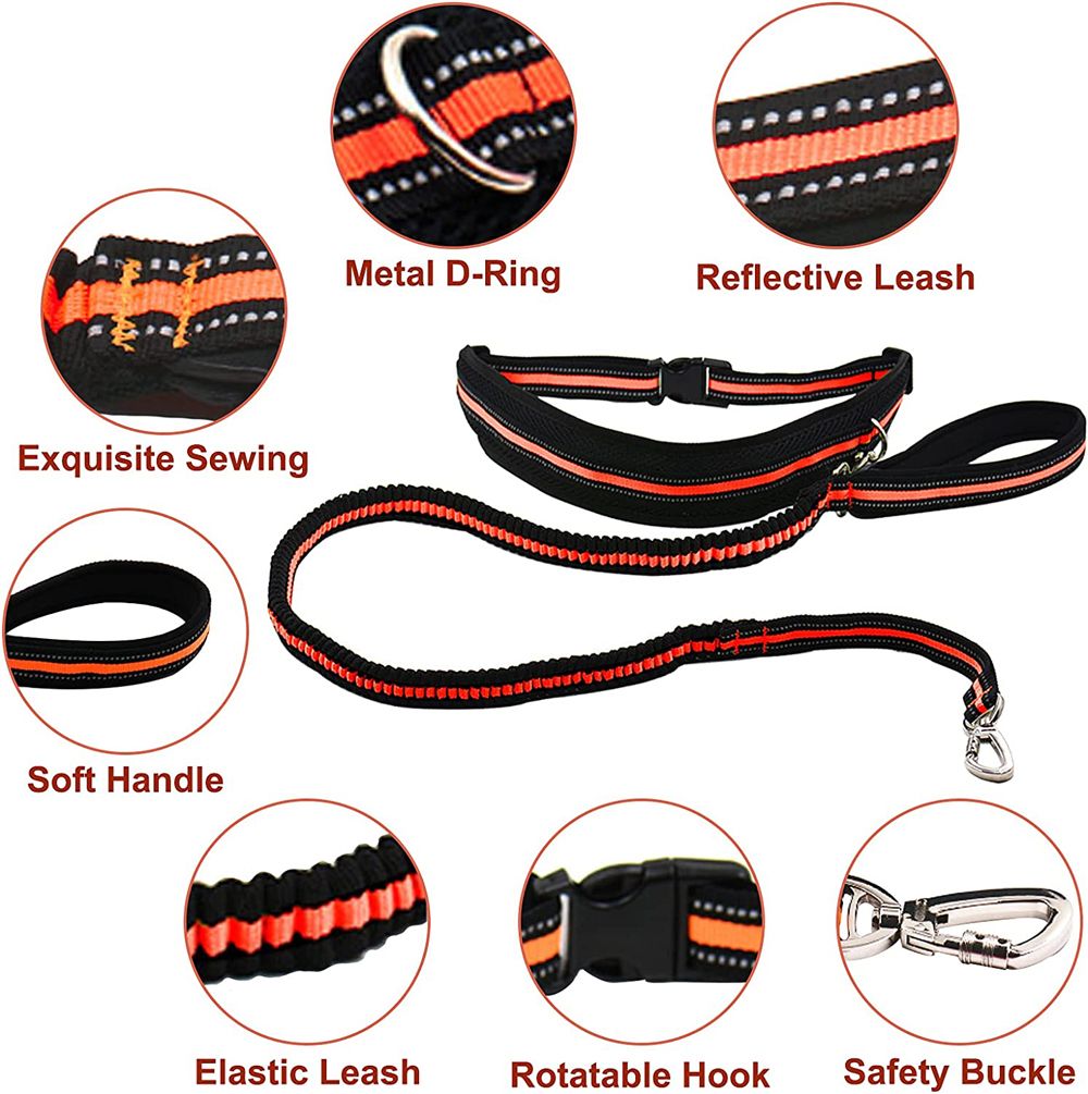 Hands Free Running Retractable Dog Leash Waist Belt With Sundries Pocket
