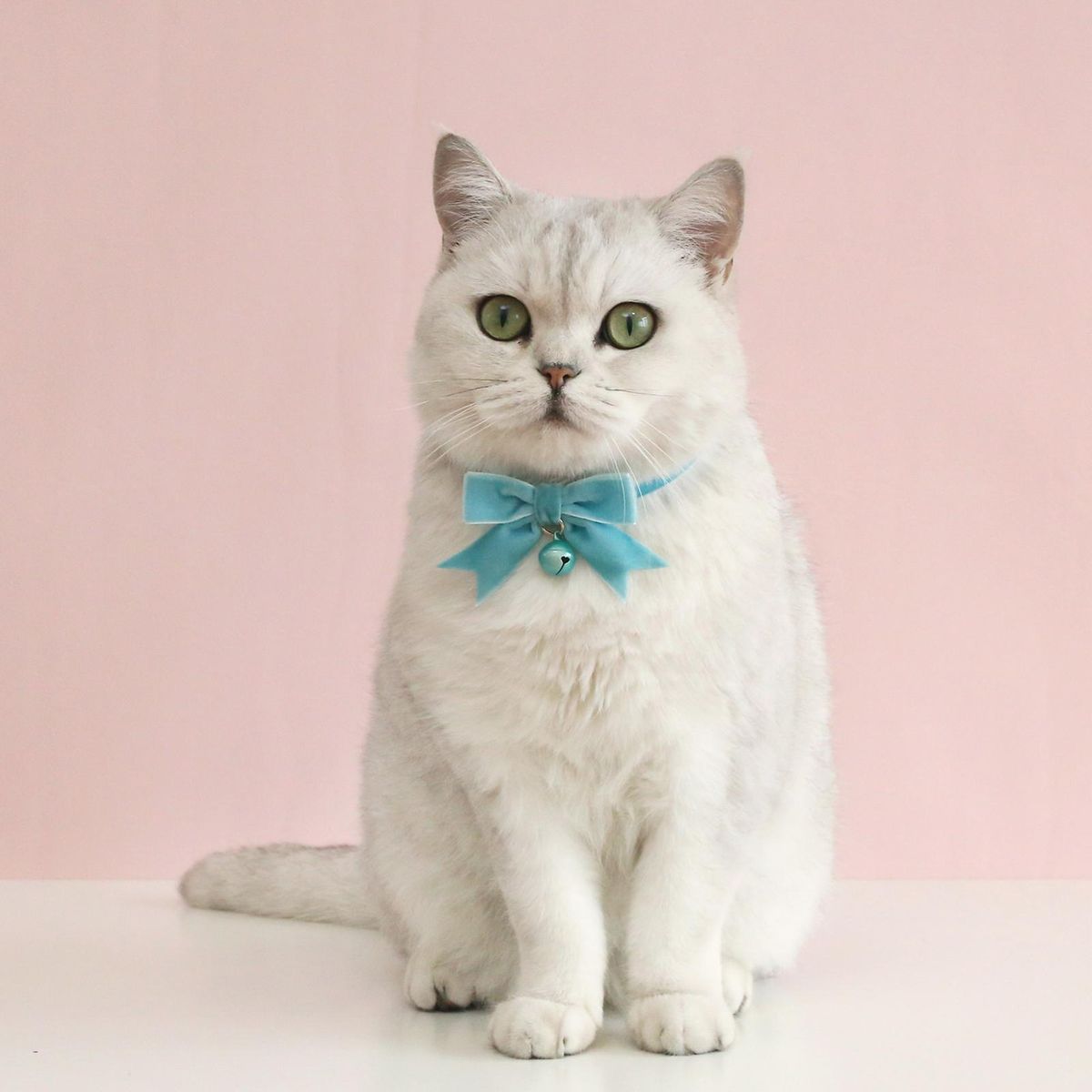 Rabbit Collar Pretty Princess Pet Necklace Blue