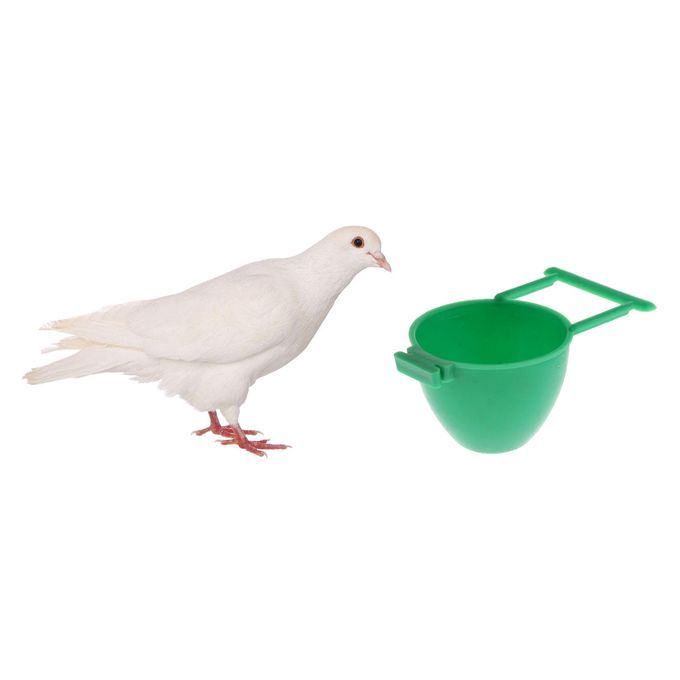 10 Pcs Bird Parrot Automatic Feeding Feeder Food Water Drinker Cage