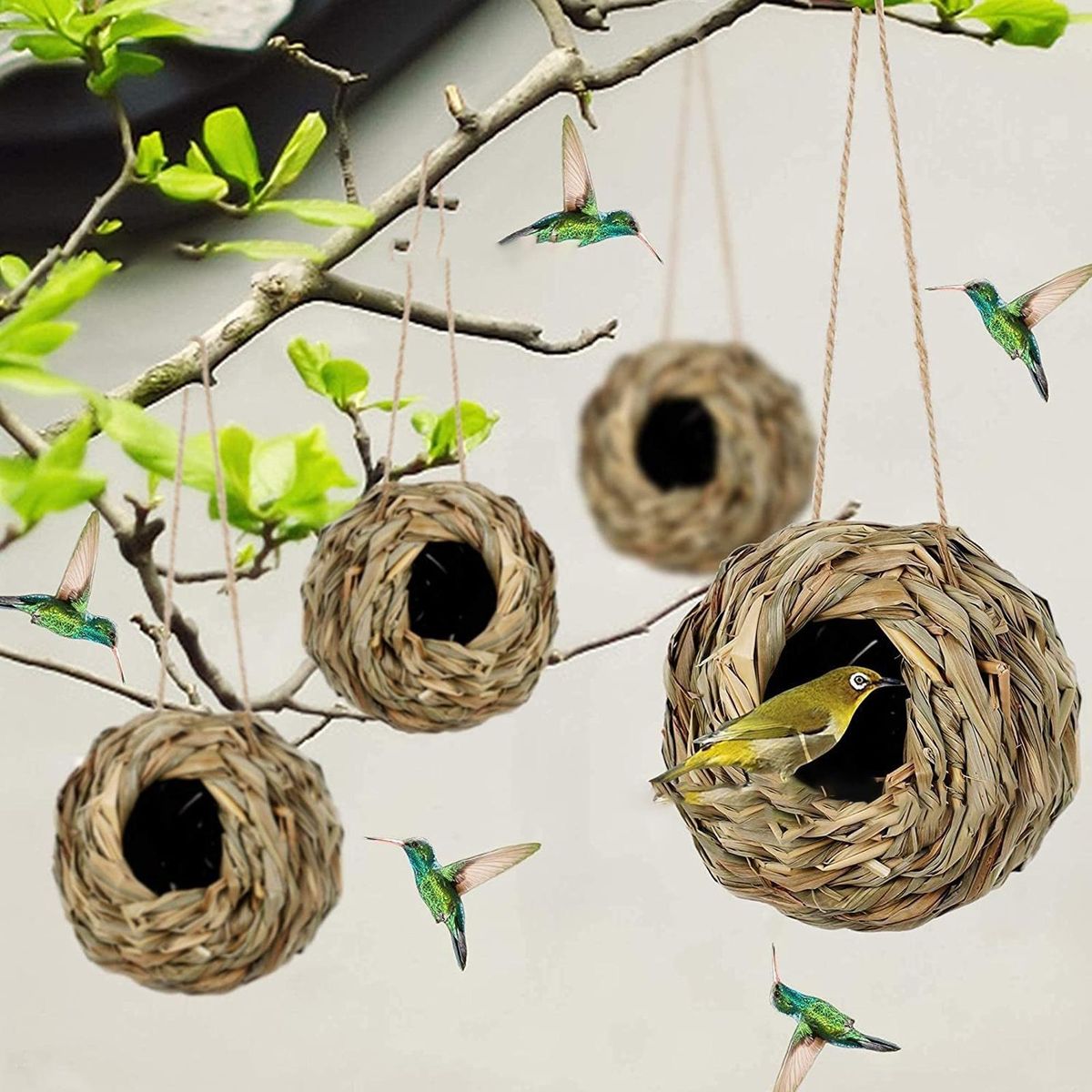 Bird Egg House Large Space Balconies Birds Nest Green