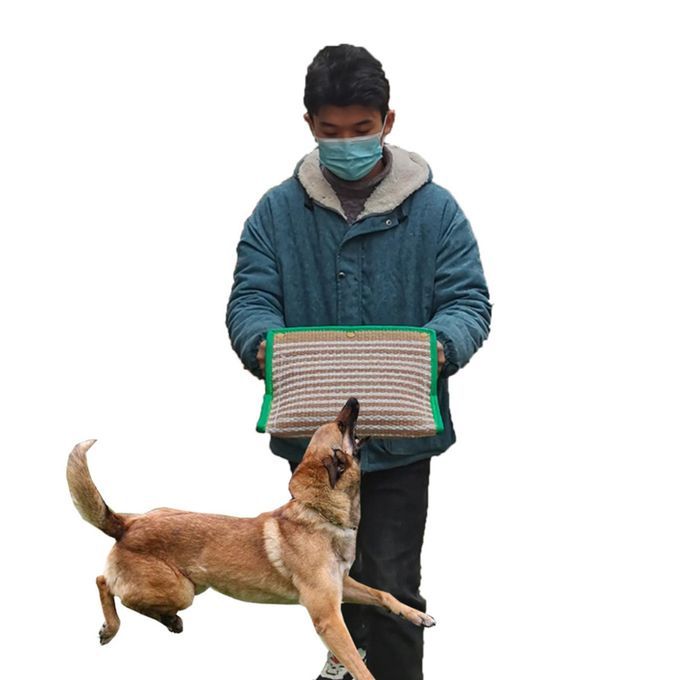 Professional Dog Bite Sleeve Dog Bite Toy Strong Training Arm