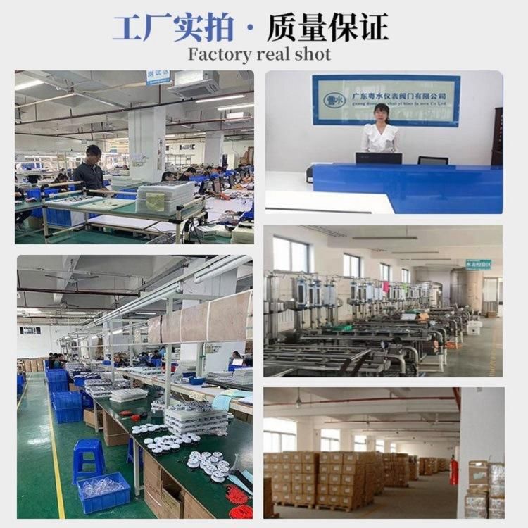 Factory Direct Sales Large Diameter 10-Inch to 20-Inch Dry Detachable Water Meter/Cast Iron Screw Flange Water Meter