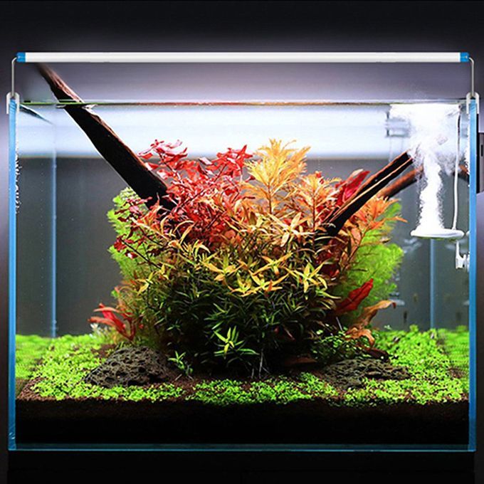 SZD-B BW  R Slim  S Aquarium Lighting Aquati  Waterproof Plant Light-blue White Light-US