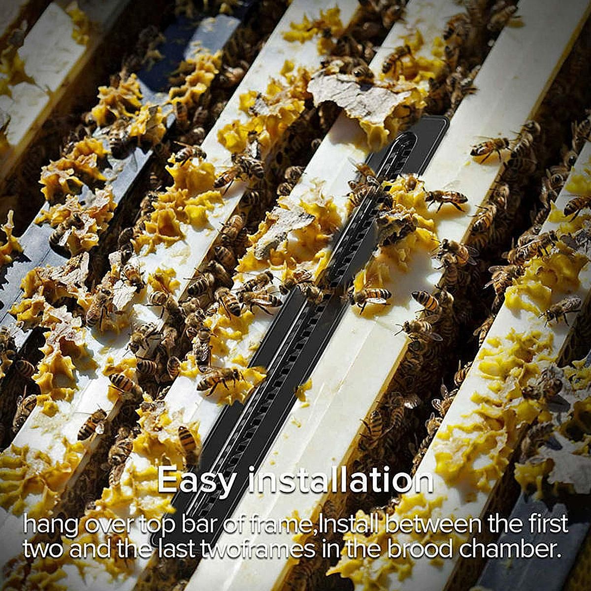 10pc New Beekeeping Small Hive Better Beetle Blaster Beetle Trap Without Poisons