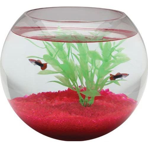 Fish Bowl Vase Decorative Centerpiece - Large