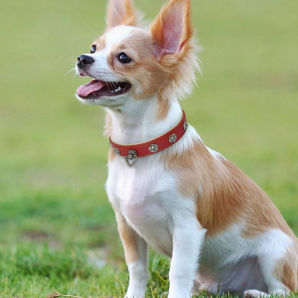 High Quality Dog Collar Real Leather Puppy Dogs Collars