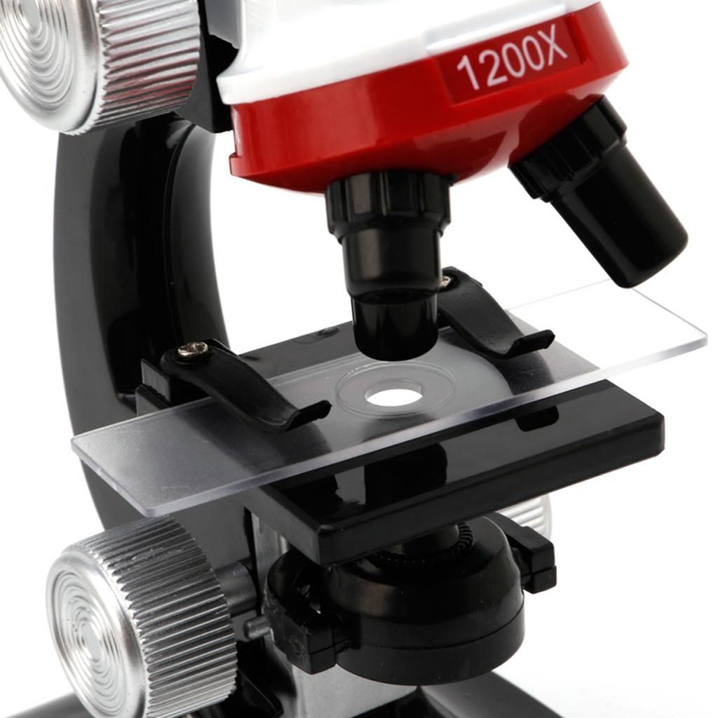 Kids Students Beginner  With LED 100X 400X 1200X Wihte Red