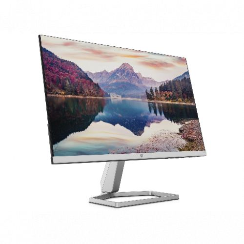 M22f (21.5" ) FHD IPS Monitor