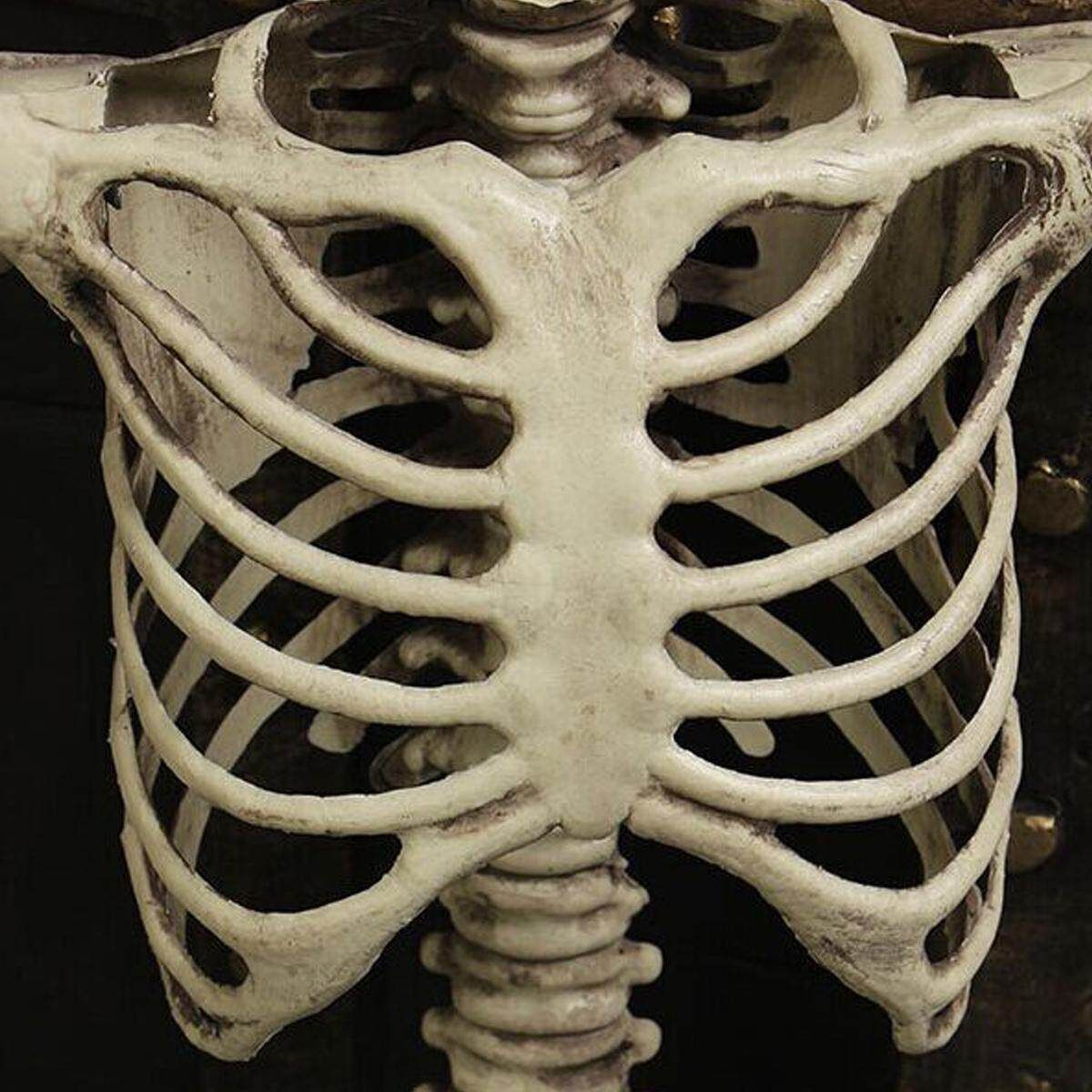 Halloween 90cm Human Skeleton Medium Skull Full Body Anatomical Model