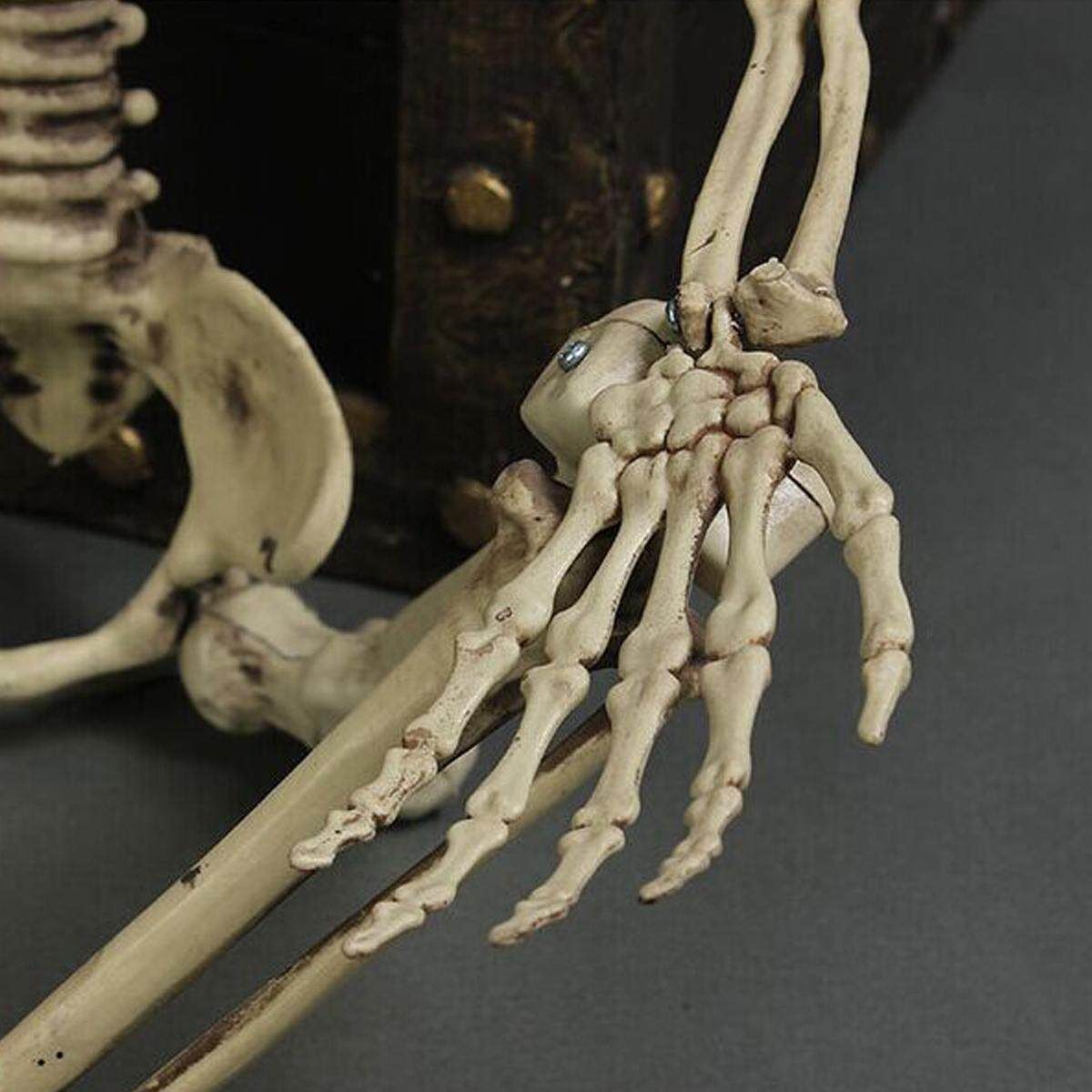 Halloween 90cm Human Skeleton Medium Skull Full Body Anatomical Model