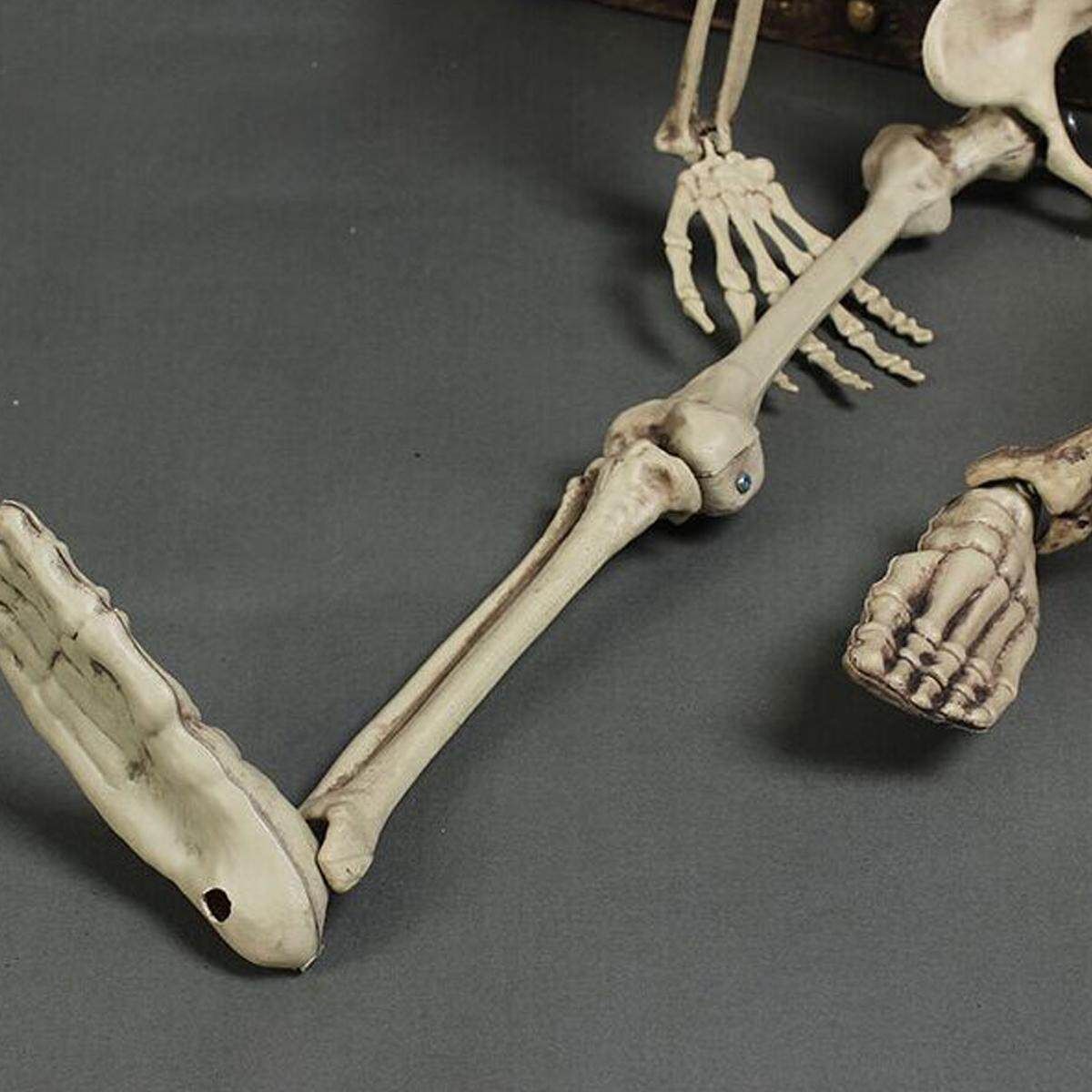 Halloween 90cm Human Skeleton Medium Skull Full Body Anatomical Model
