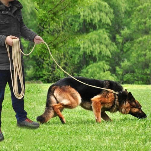 3m Nylon Dog Leash Running Tracking Non Slip Long Leads Nylon Training Walking Leads For Medium Large Dogs Heavy Duty