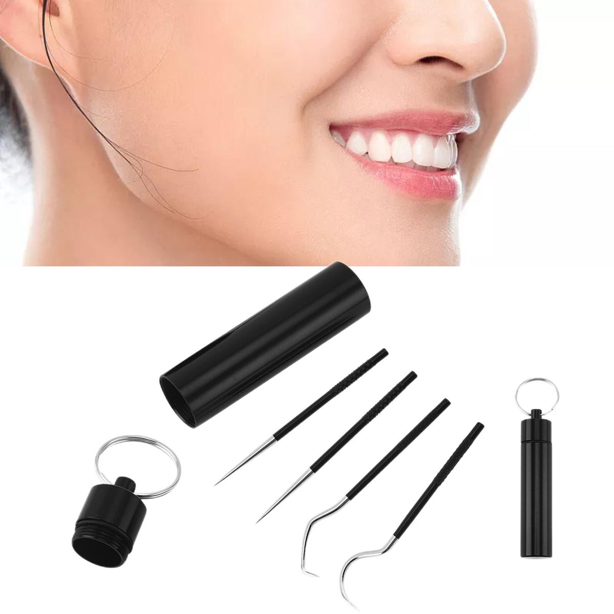 5 Pieces Portable Stainless Steel Toothpick  With Holder Case Black
