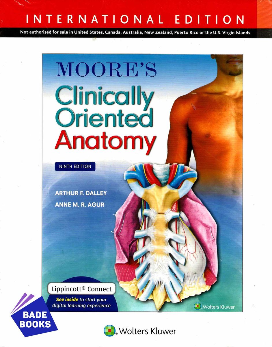 Clinically Oriented Anatomy By Keith Moore