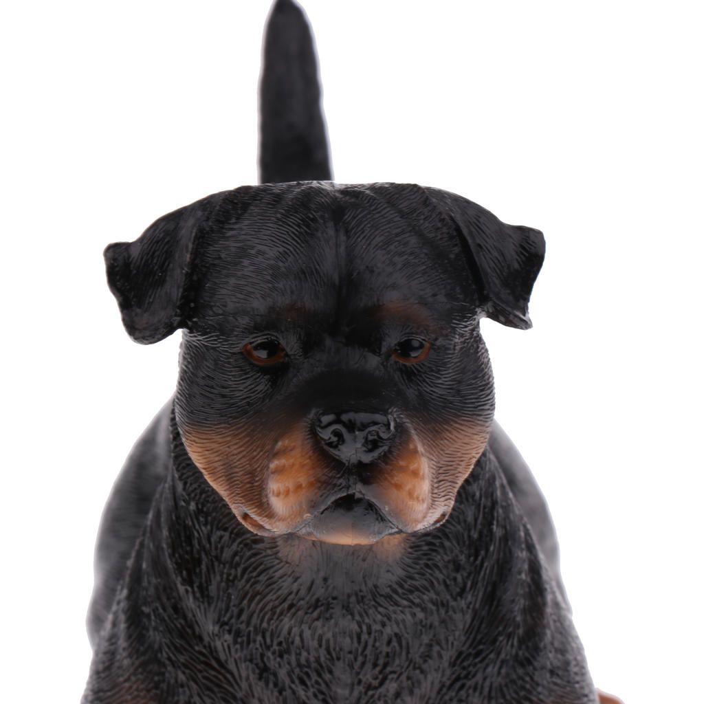 Realistic Animal Model Figure Figurine Science Nature Toys Rottweiler