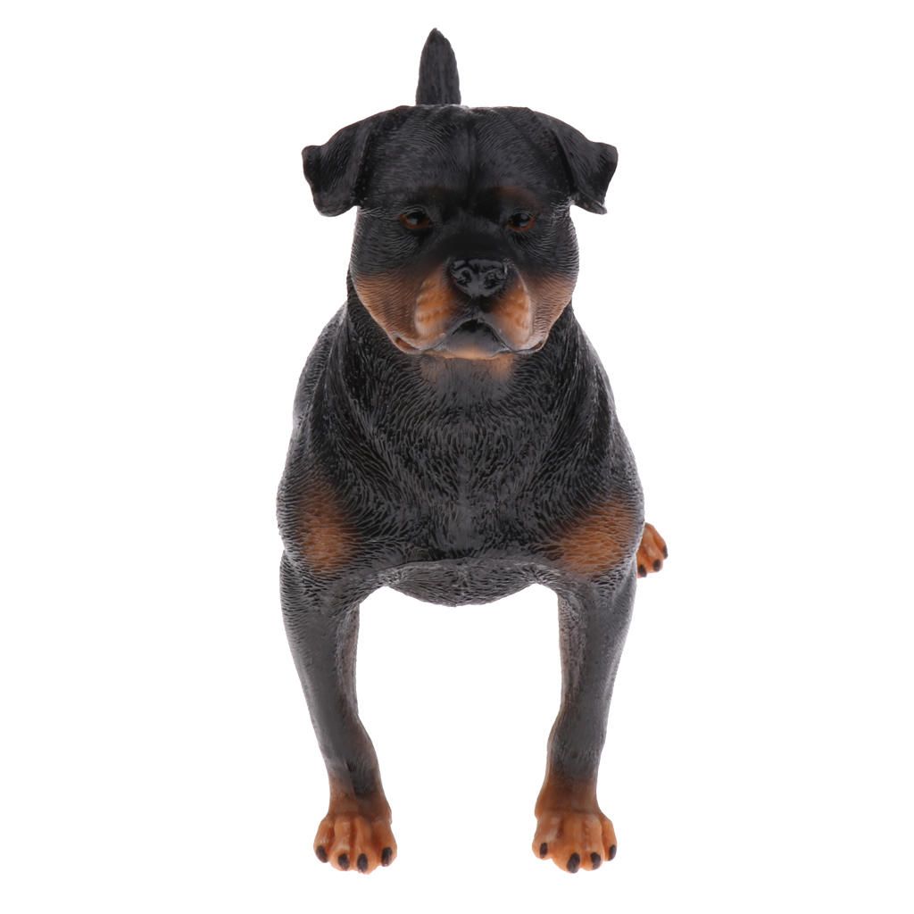 Realistic Animal Model Figure Figurine Science Nature Toys Rottweiler
