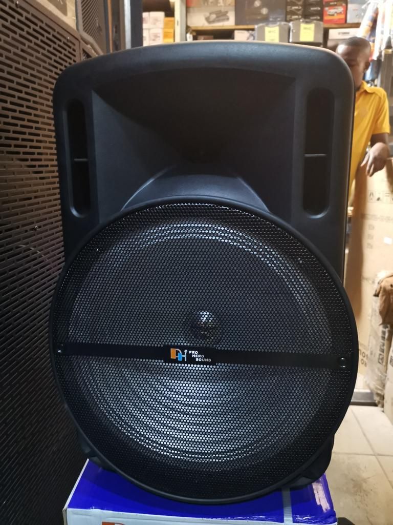 15'' Public Address System With Bluetooth, MicroSD, USB, FM Functions And Two Wireless Microphone