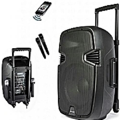 8'' Rechargeable Bluetooth Public Address System, 2 Mic, FM