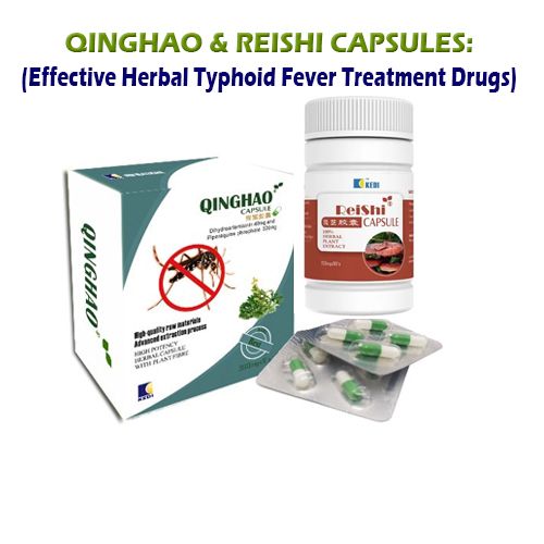 Qinghao And Reishi For Anti-Malaria And Typhoid Fever