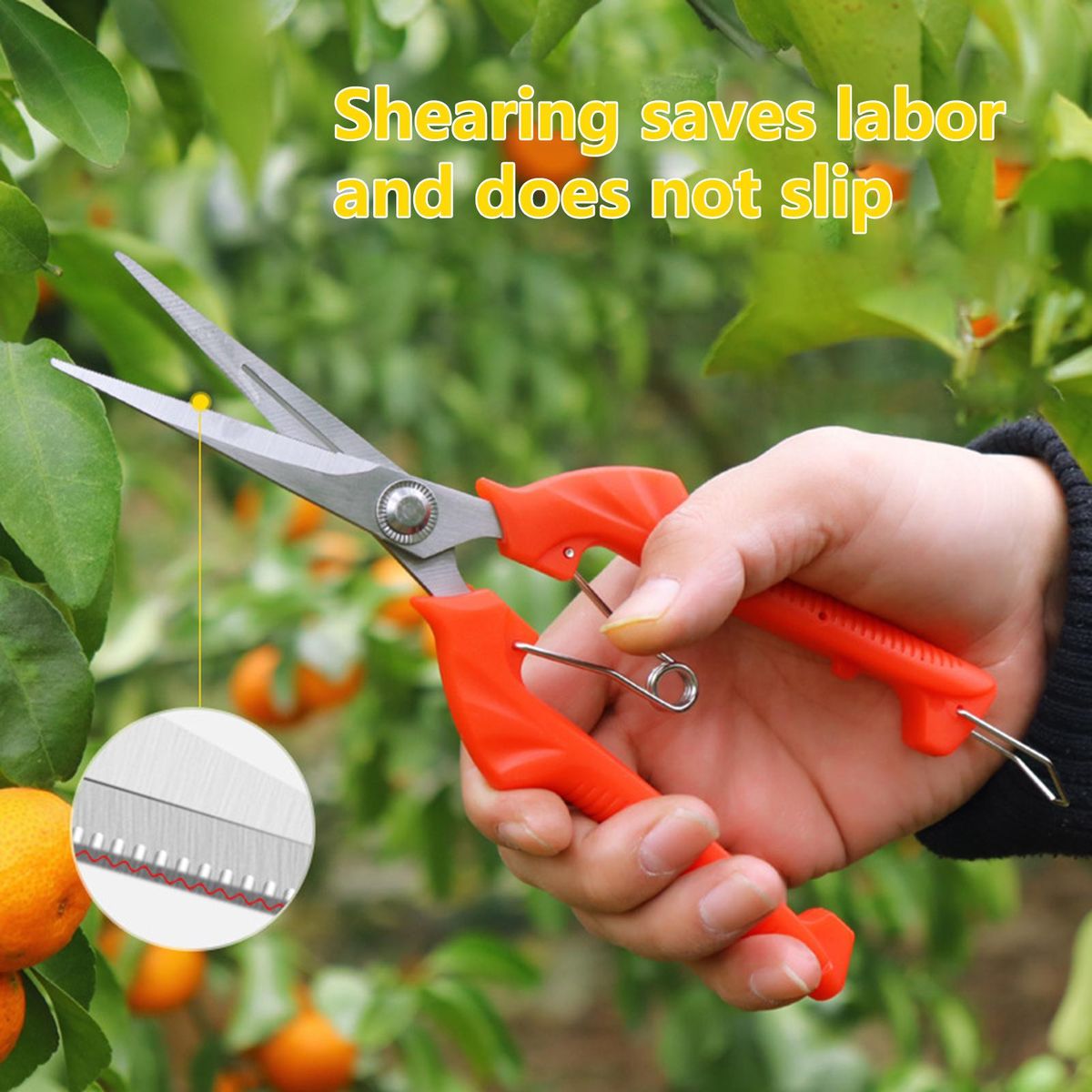 Branch Pruner Pruning Shear Gardening Cutter
