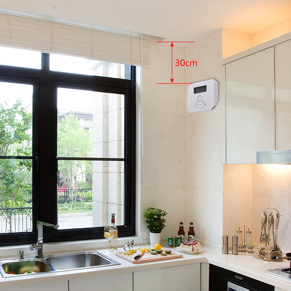 Combination Carbon Monoxide Detector Battery Operated CO