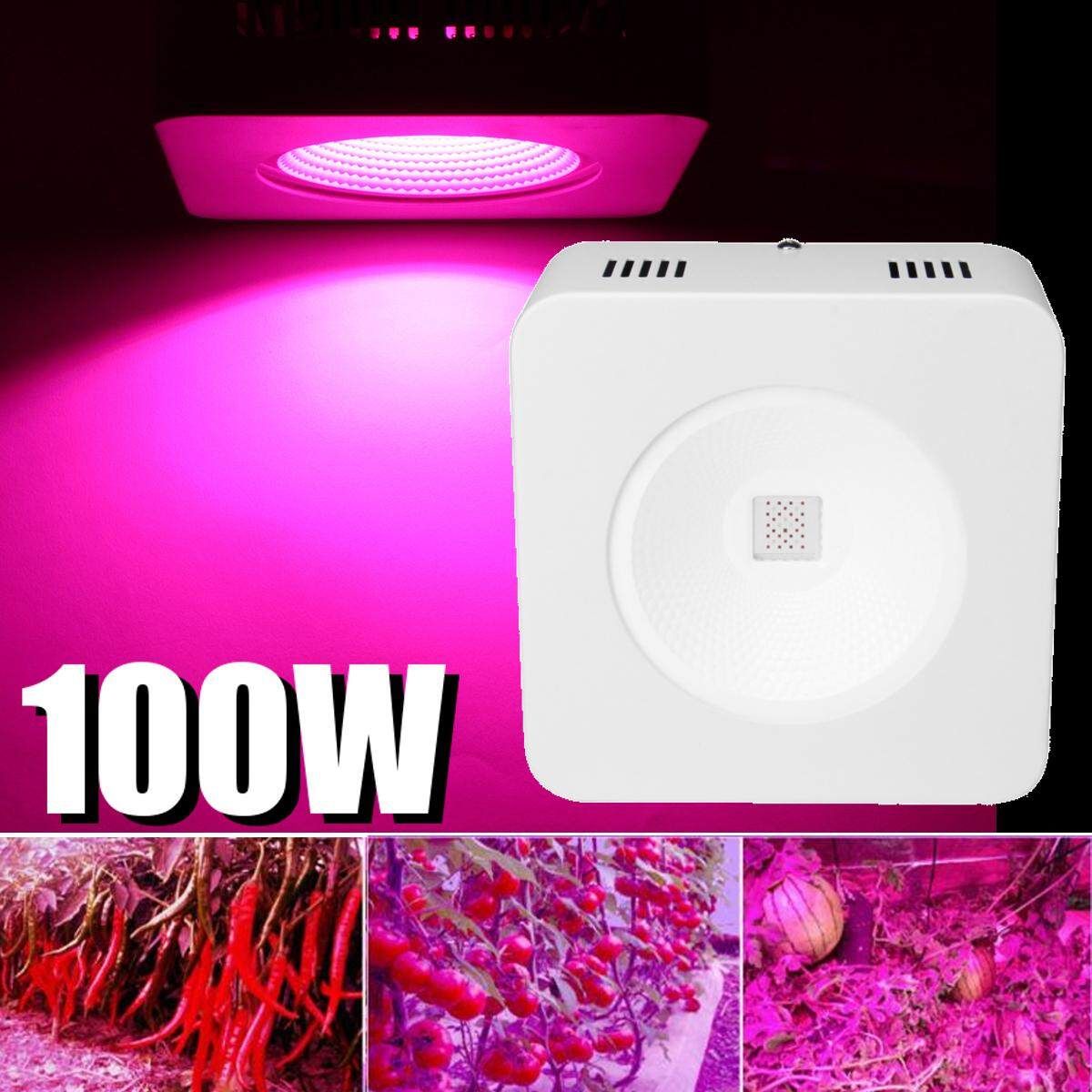 COB LED 100w Lushpro Hydroponics Full Spectrum Indoor Grow Light Grow Room