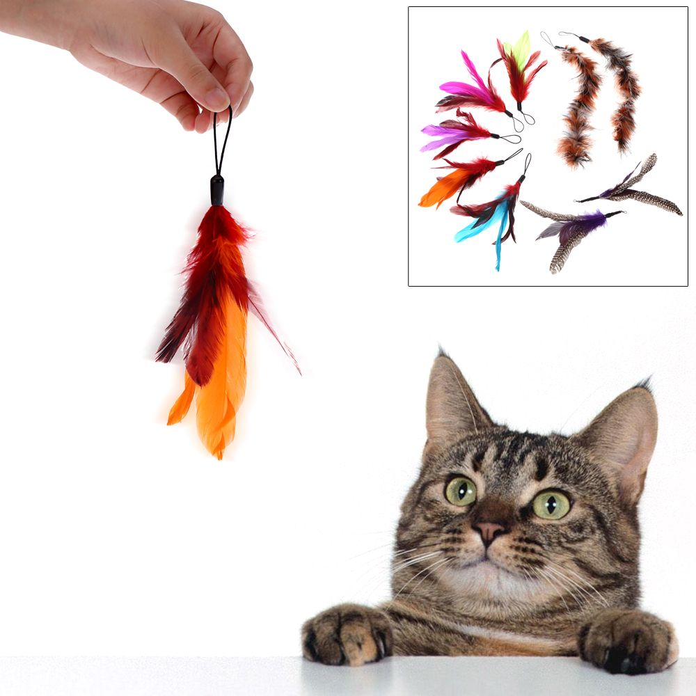9PCS Luxury Colorful Natural Long Feather Pet Kitten Cat