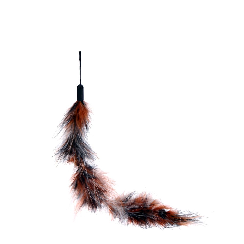 9PCS Luxury Colorful Natural Long Feather Pet Kitten Cat