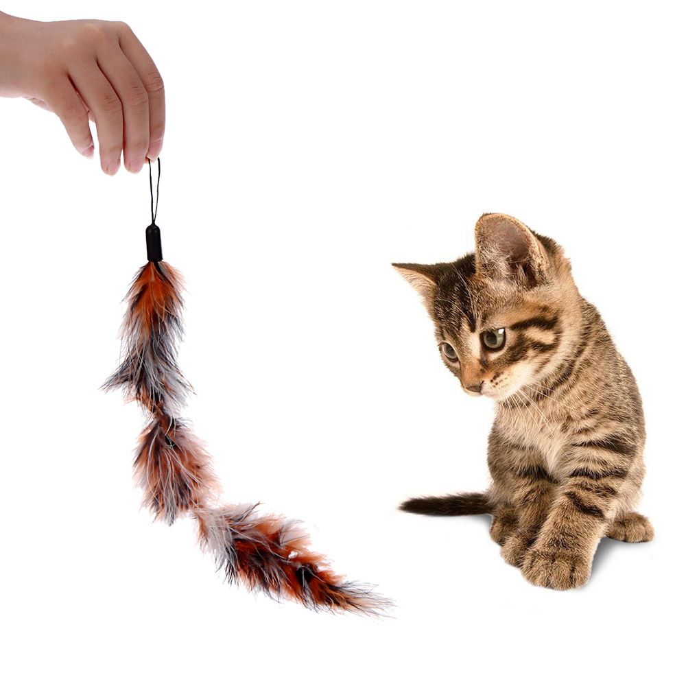 9PCS Luxury Colorful Natural Long Feather Pet Kitten Cat
