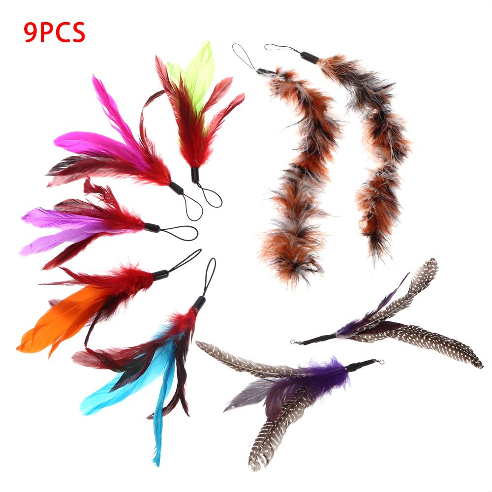 9PCS Luxury Colorful Natural Long Feather Pet Kitten Cat