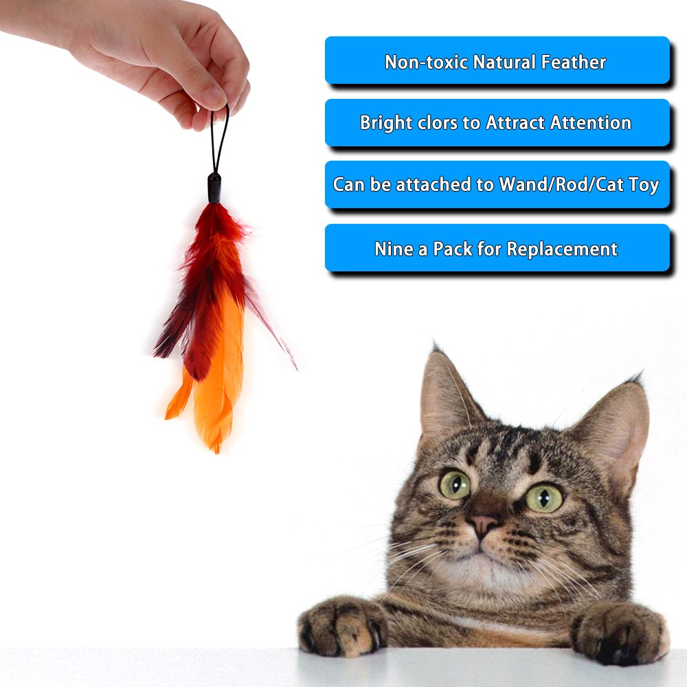 9PCS Luxury Colorful Natural Long Feather Pet Kitten Cat