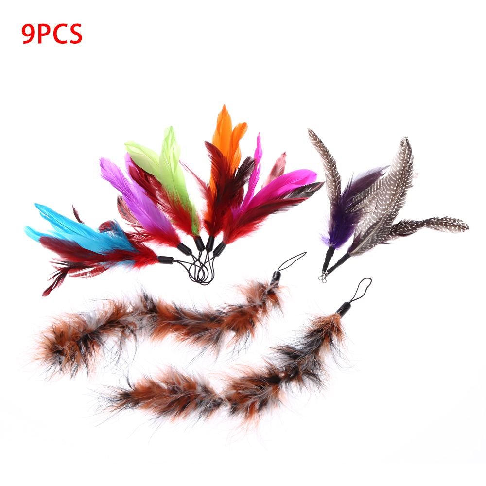 9PCS Luxury Colorful Natural Long Feather Pet Kitten Cat
