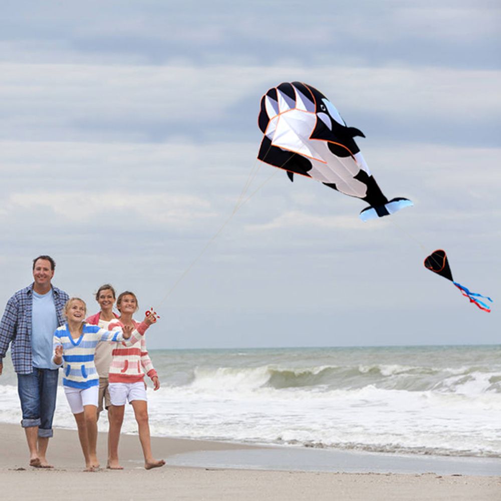 3D Kite Huge Frameless Soft Parafoil Giant Whale Flying Kite