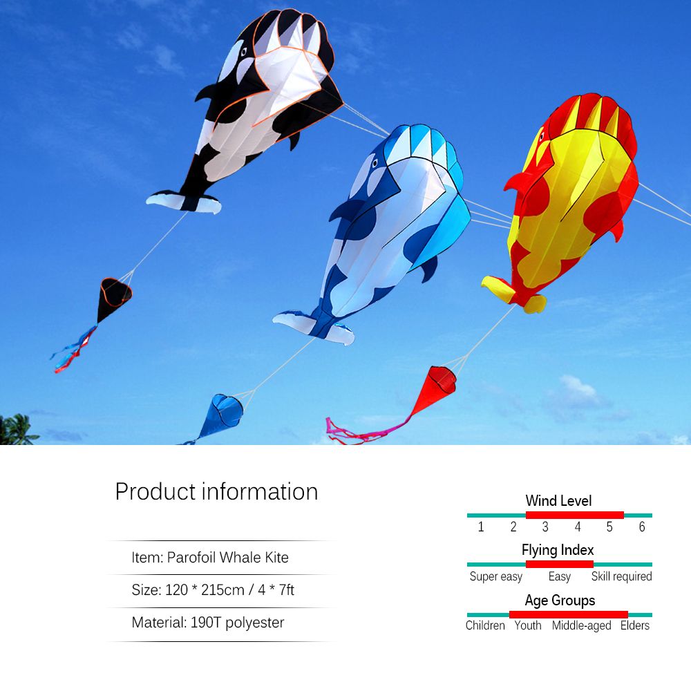 3D Kite Huge Frameless Soft Parafoil Giant Whale Flying Kite