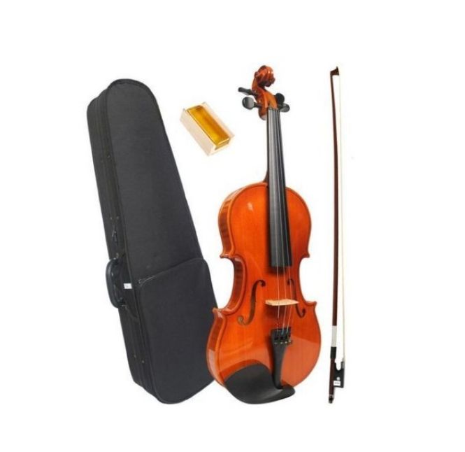 Professional 4/4 Violin With Case