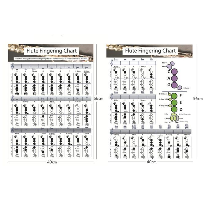 Useful Flute  Fingering Chart Fingering Practice Instrument For Large