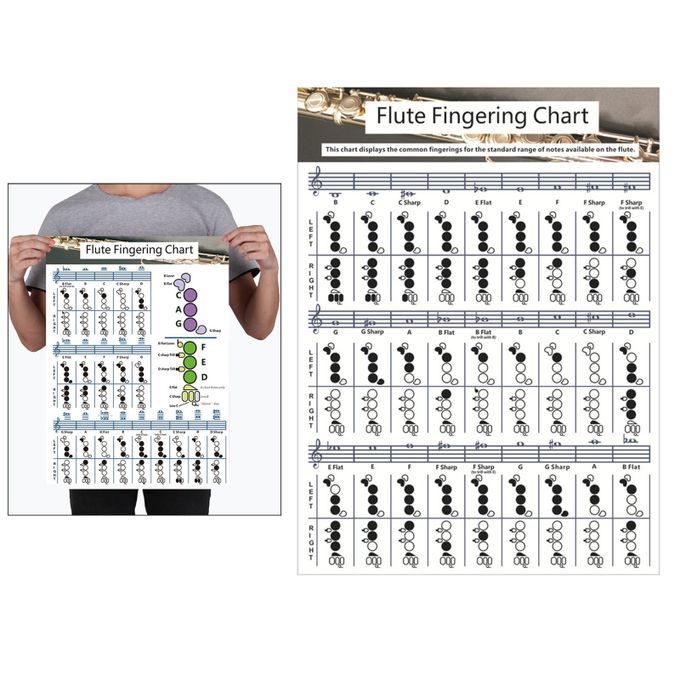 Useful Flute  Fingering Chart Fingering Practice Instrument For Large