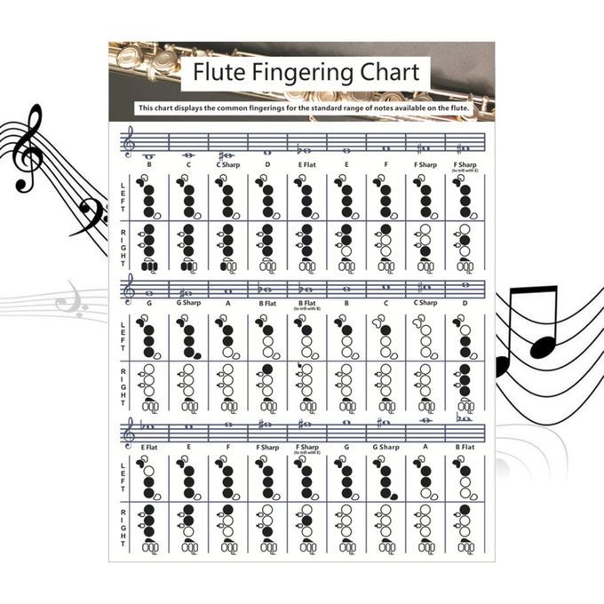 Useful Flute  Fingering Chart Fingering Practice Instrument For Large