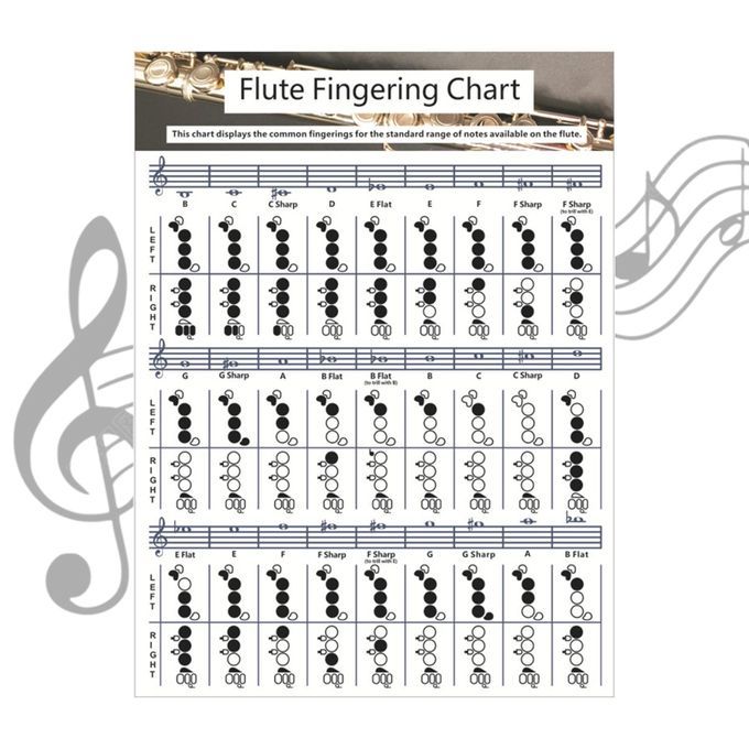 Useful Flute  Fingering Chart Fingering Practice Instrument For Large
