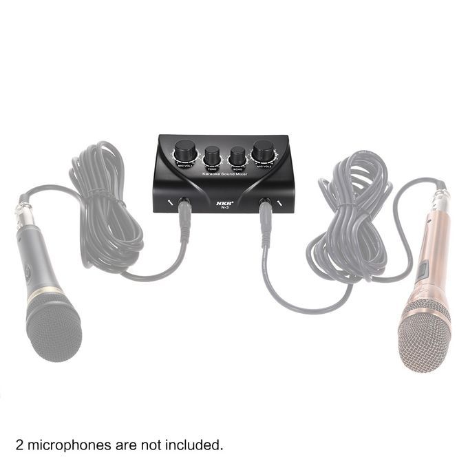Portable Karaoke Sound Audio Stereo Echo Mixer Dual Mic
