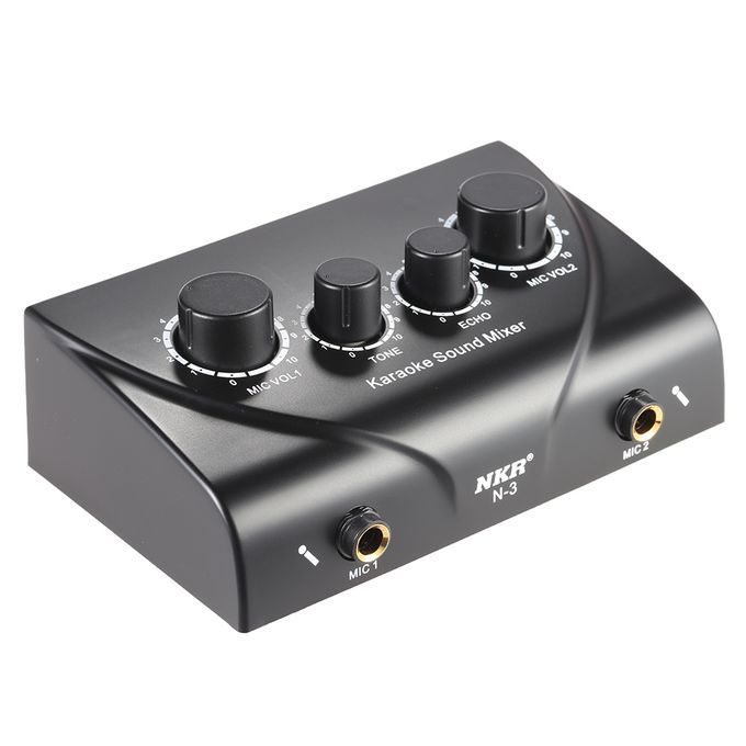 Portable Karaoke Sound Audio Stereo Echo Mixer Dual Mic