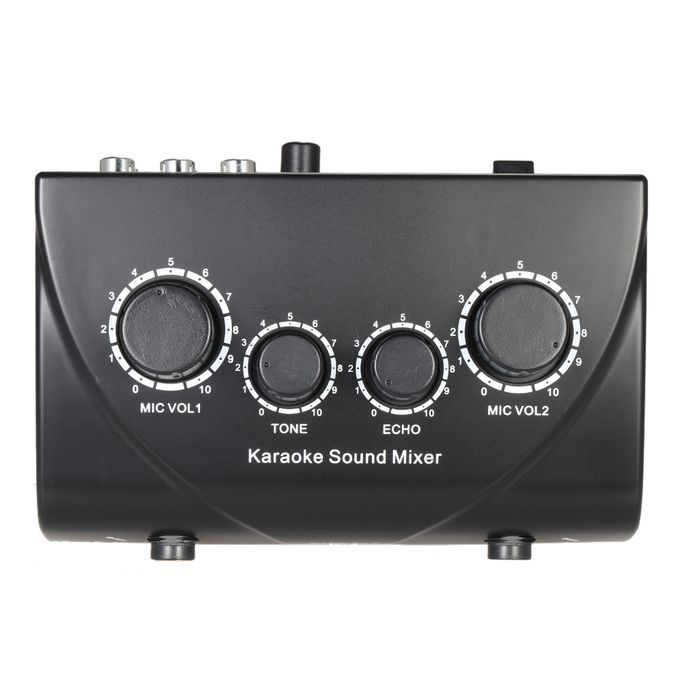 Portable Karaoke Sound Audio Stereo Echo Mixer Dual Mic