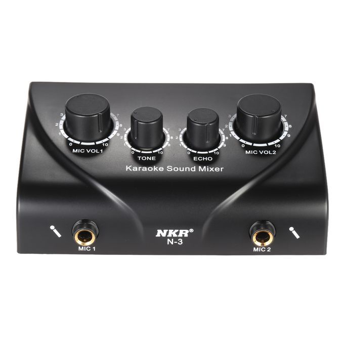 Portable Karaoke Sound Audio Stereo Echo Mixer Dual Mic