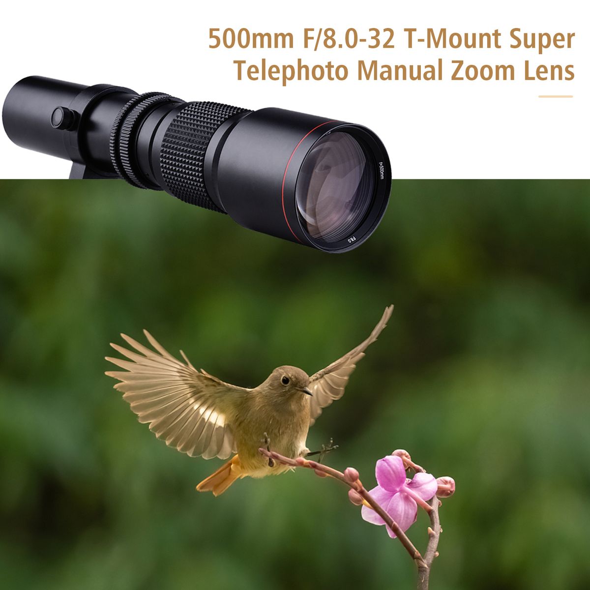 500mm F/8.0-32 Multi Coated Super Telephoto Lens Manual