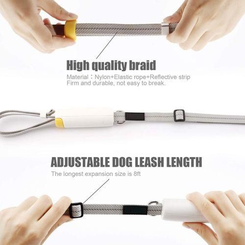 Dog Leash, Elastic Dog Leash, Small And Medium-Sized Dog