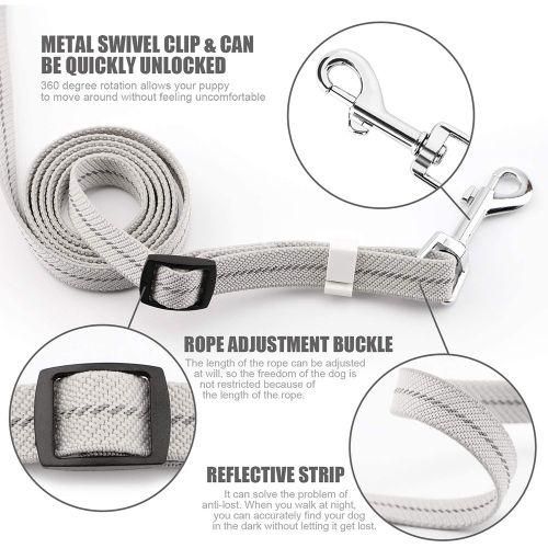 Dog Leash, Elastic Dog Leash, Small And Medium-Sized Dog
